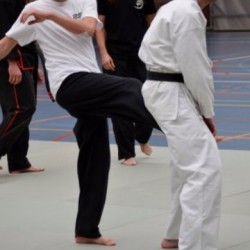 dsc 0222 - Sportraad Zaventem 